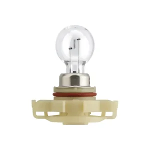 Sijalica 12V, 24W, PSX24W PG20/7, HIPER VISION, sa postoljem